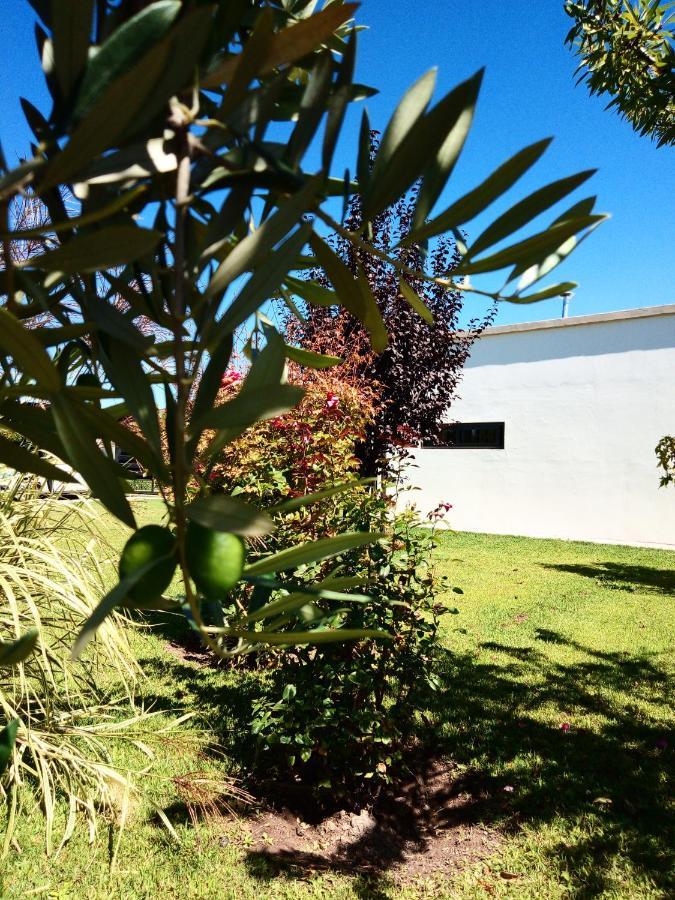 Loft Los Cerezos En Vistalba, Zona De Vinedos Y Bodegas 路冉得库约 外观 照片